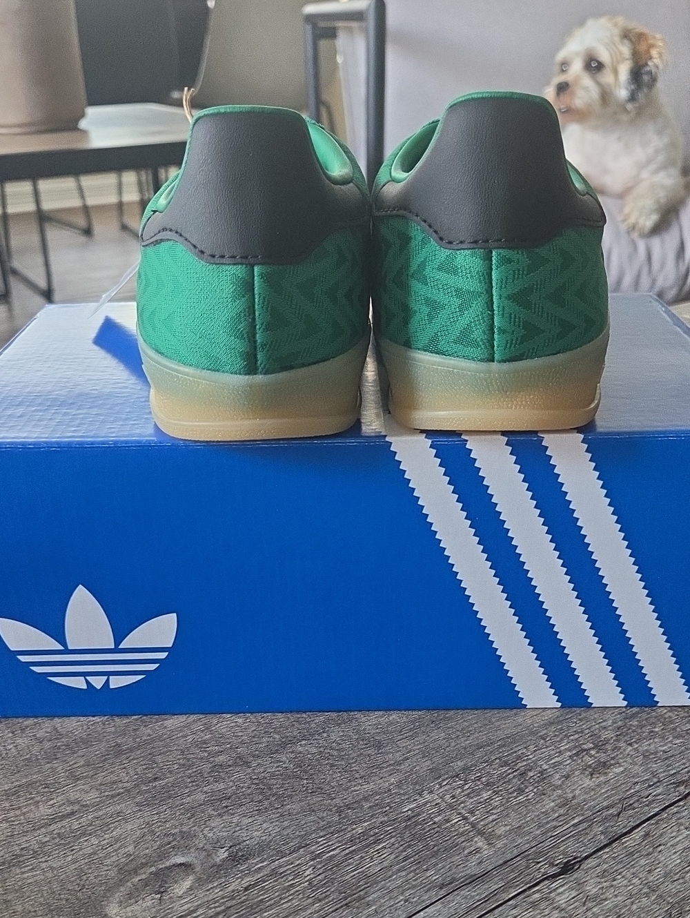 NWT Adidas Women's Gazelle Indoor 'Bold Green EQT Yellow' Shoes JR2416 - Picture 4 of 12